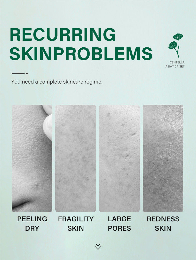 Private Label Skin Repair Centella Skin Care Kit